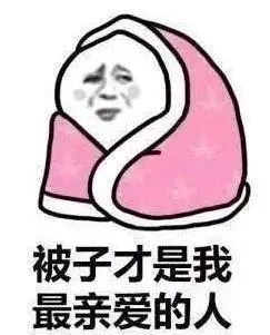 多地已冻哭 这家公司股价却大涨创历史新高!