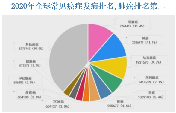 百济神州PD-1与诺华合作 将开启全球商业化进程