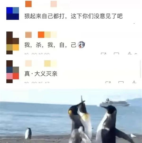 太狠了!微信“封杀”拼多多、小红书 连QQ系“亲兄弟”也不放过