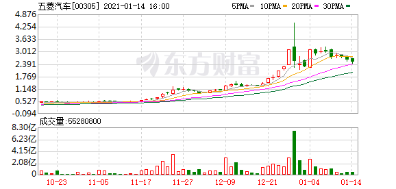 17.4万辆 五菱摘得2020中国纯电动汽车销量冠军
