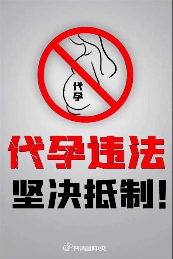 郑爽被取消荣誉称号!普拉达及时止损股价反弹