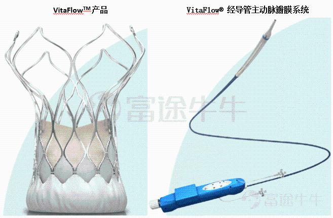 “微创系”心脏瓣膜巨头微创心通赴港上市 估值区间在哪？