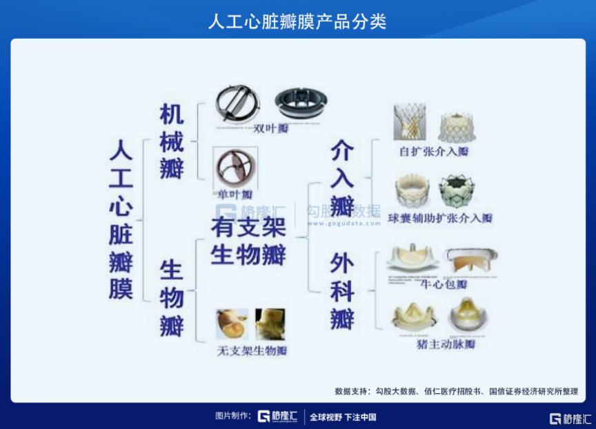 TAVR三巨头在港交所集齐 心尖上的生意怎么看？
