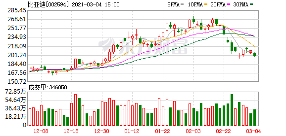 比亚迪:前2月新能源汽车销量同比增207.3%