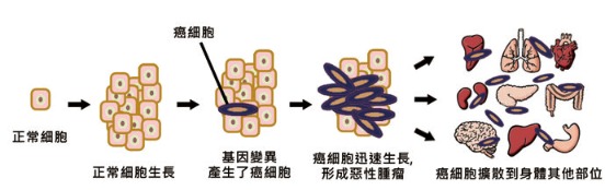 杀死八种癌症 中国要有自己的抗癌“神药”了？
