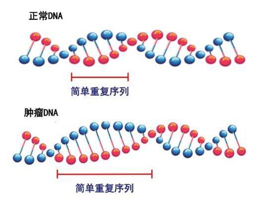 杀死八种癌症 中国要有自己的抗癌“神药”了？