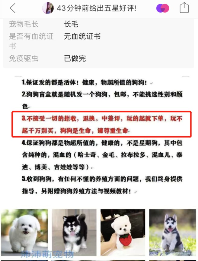 太恶劣!“宠物盲盒”爆卖 小猫小狗竟被塞货箱、活活憋死!中通快递回应