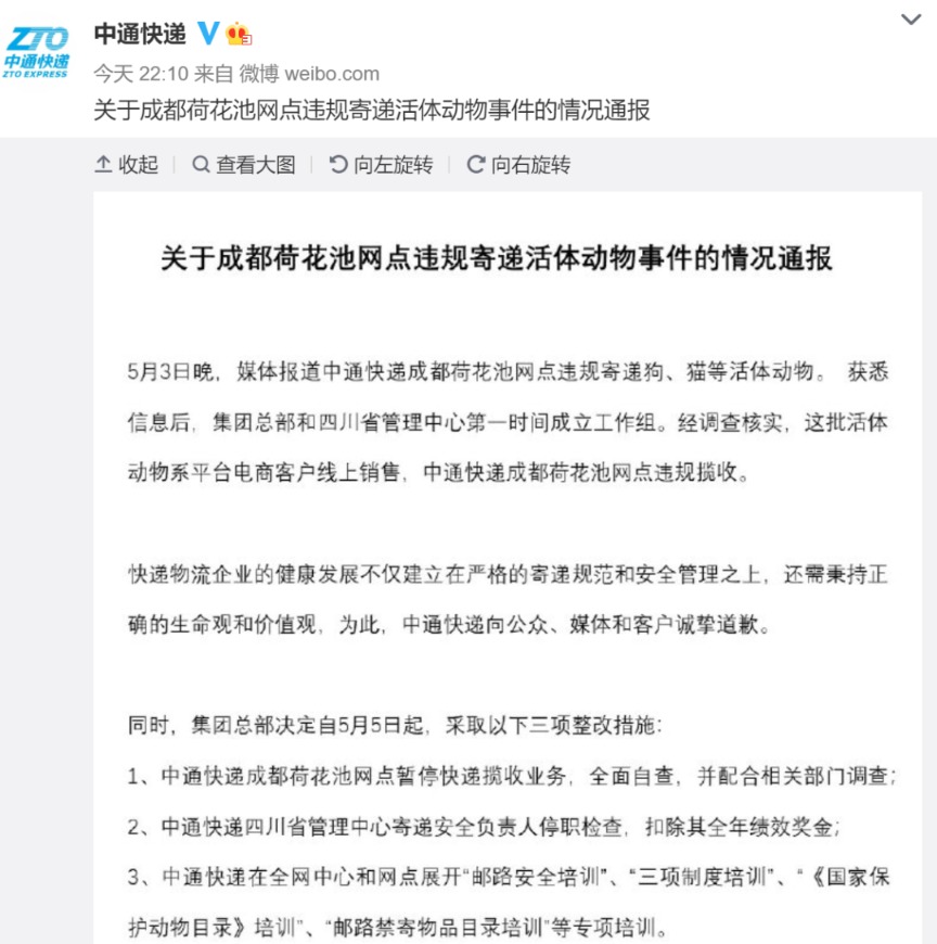 太恶劣!“宠物盲盒”爆卖 小猫小狗竟被塞货箱、活活憋死!中通快递回应