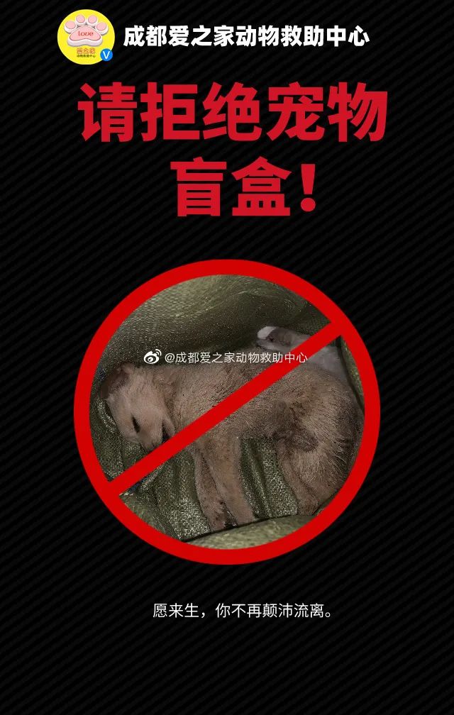 太恶劣!“宠物盲盒”爆卖 小猫小狗竟被塞货箱、活活憋死!中通快递回应