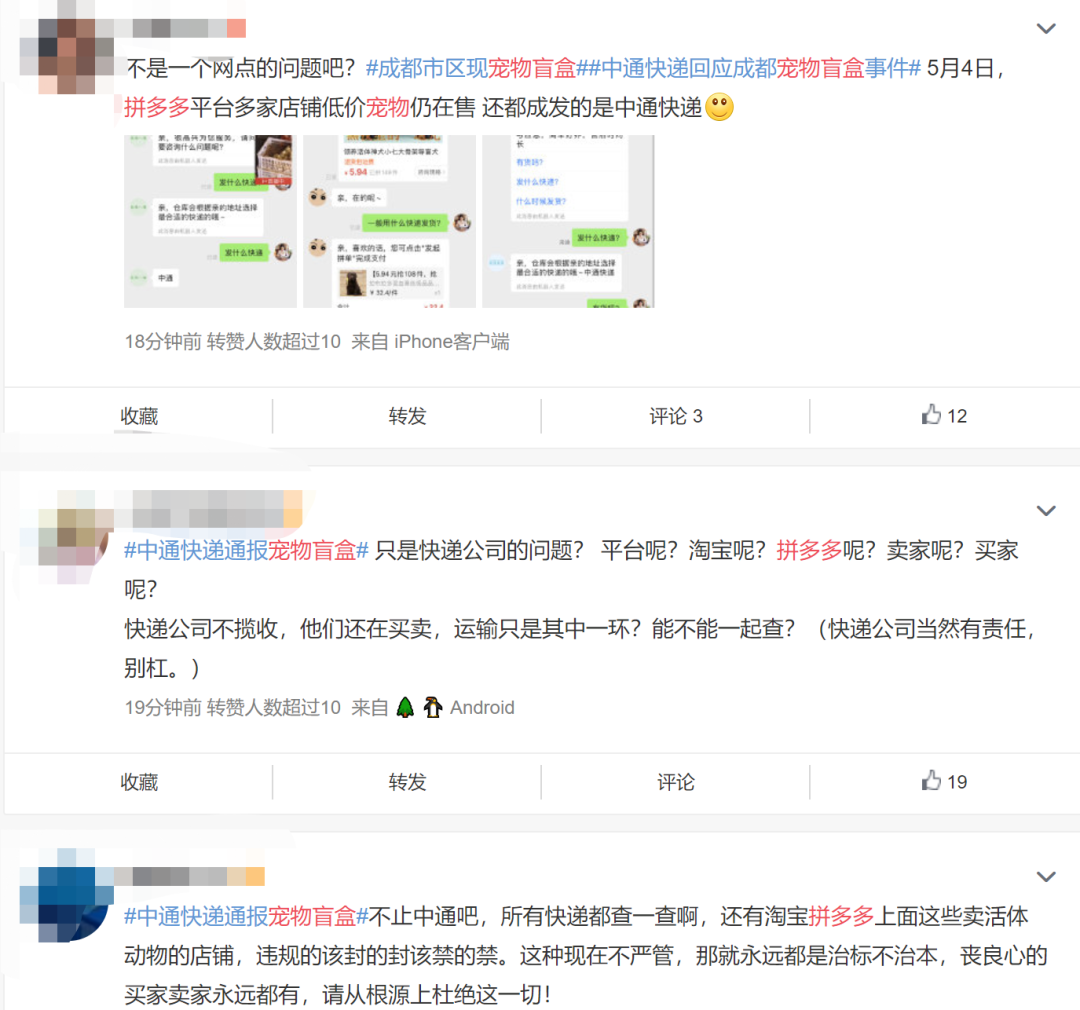 太恶劣!“宠物盲盒”爆卖 小猫小狗竟被塞货箱、活活憋死!中通快递回应