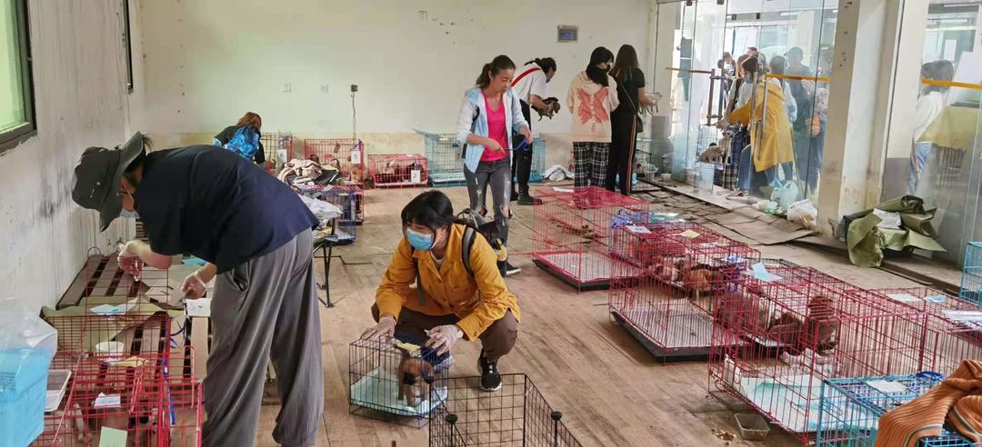 中通快递成都一网点“宠物盲盒”事件续:邮政监管部门正调查