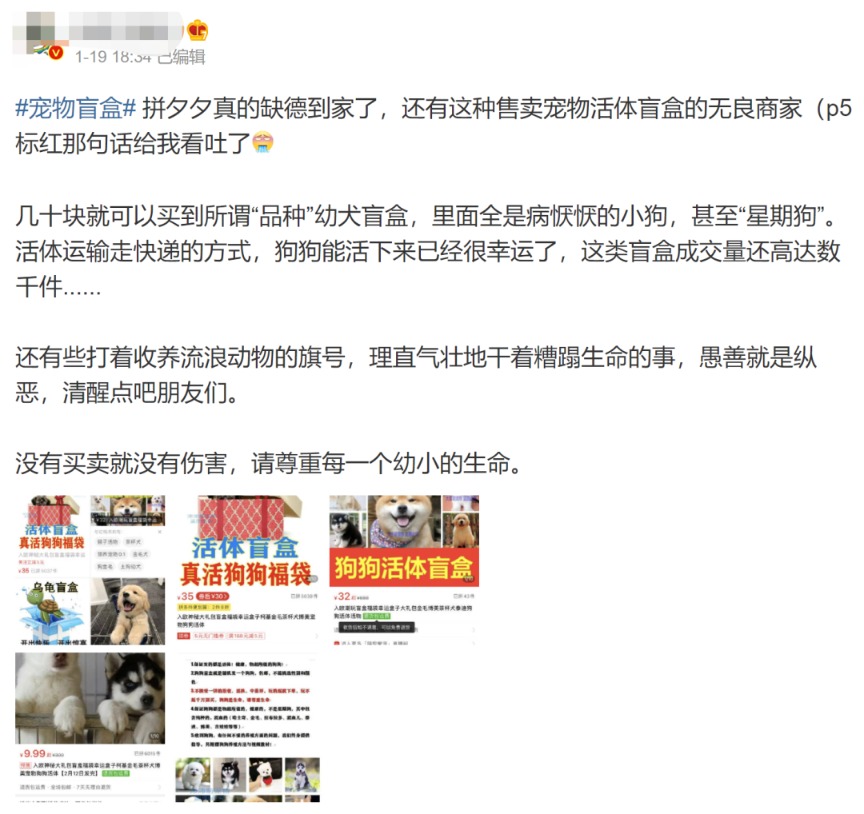 太恶劣!“宠物盲盒”爆卖 小猫小狗竟被塞货箱、活活憋死!中通快递回应