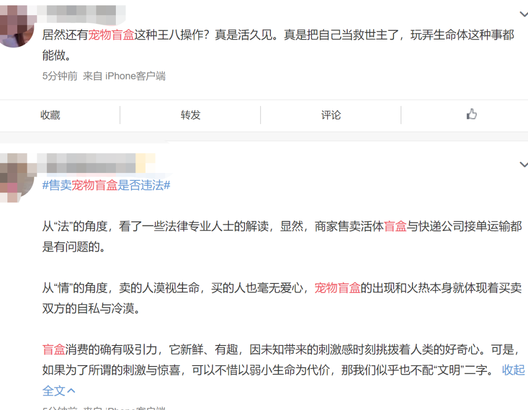 太恶劣!“宠物盲盒”爆卖 小猫小狗竟被塞货箱、活活憋死!中通快递回应