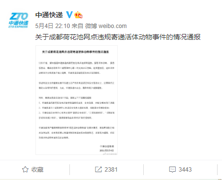 又是中通!快递站发现宠物盲盒13件 动物已死亡