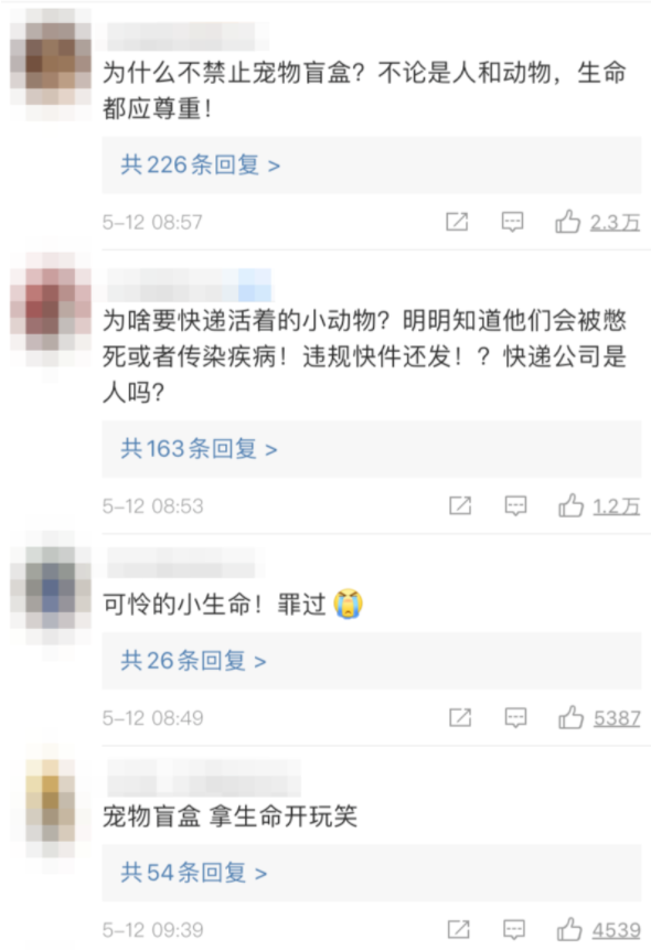 又是中通!快递站发现宠物盲盒13件 动物已死亡