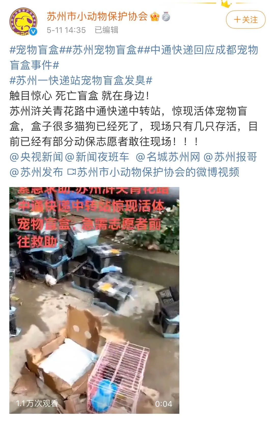 又是中通!快递站发现宠物盲盒13件 动物已死亡