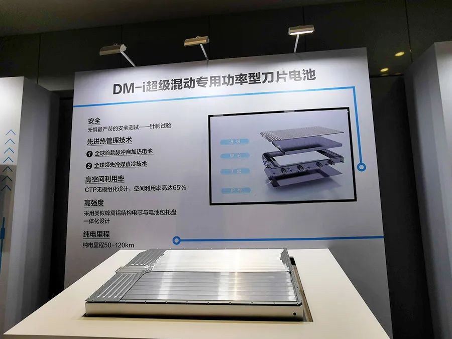比亚迪向何猷君交付第100万辆新能源汽车