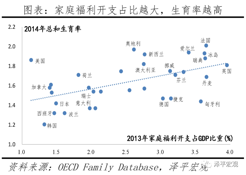 任泽平:对放开三孩政策的几点思考