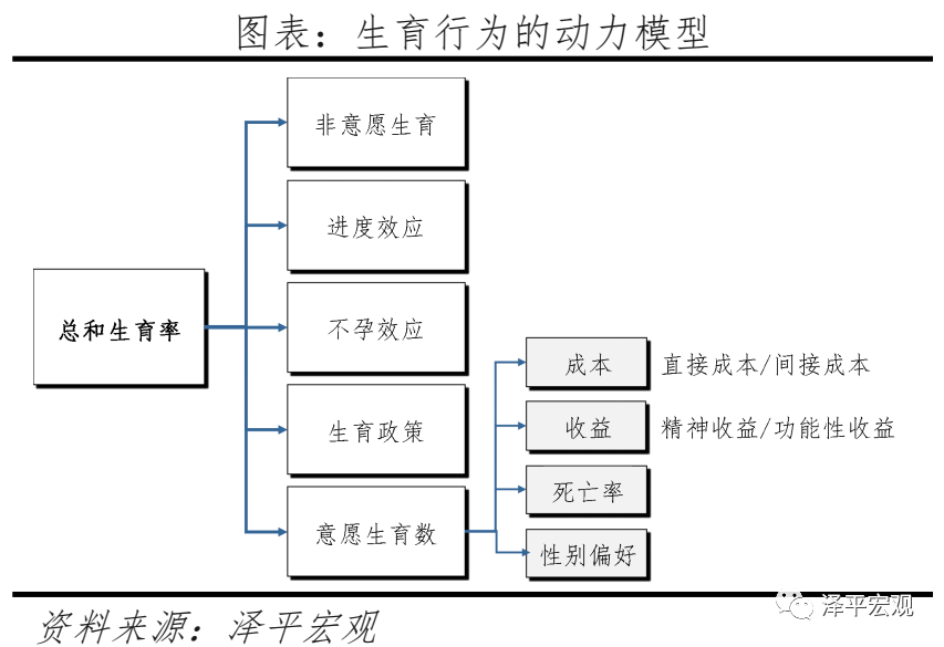 任泽平:对放开三孩政策的几点思考