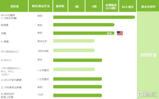 如何看待近期大涨的先声药业?