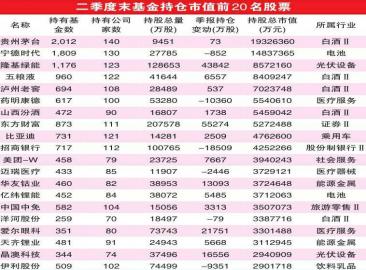 聚焦基金二季报|基金大幅加仓新能源与港股 前20大重仓股中新能源占7席